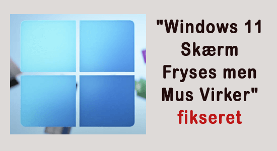 windows 11 skærm Fryser ned men mus virker